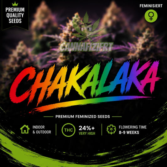 Chakalaka